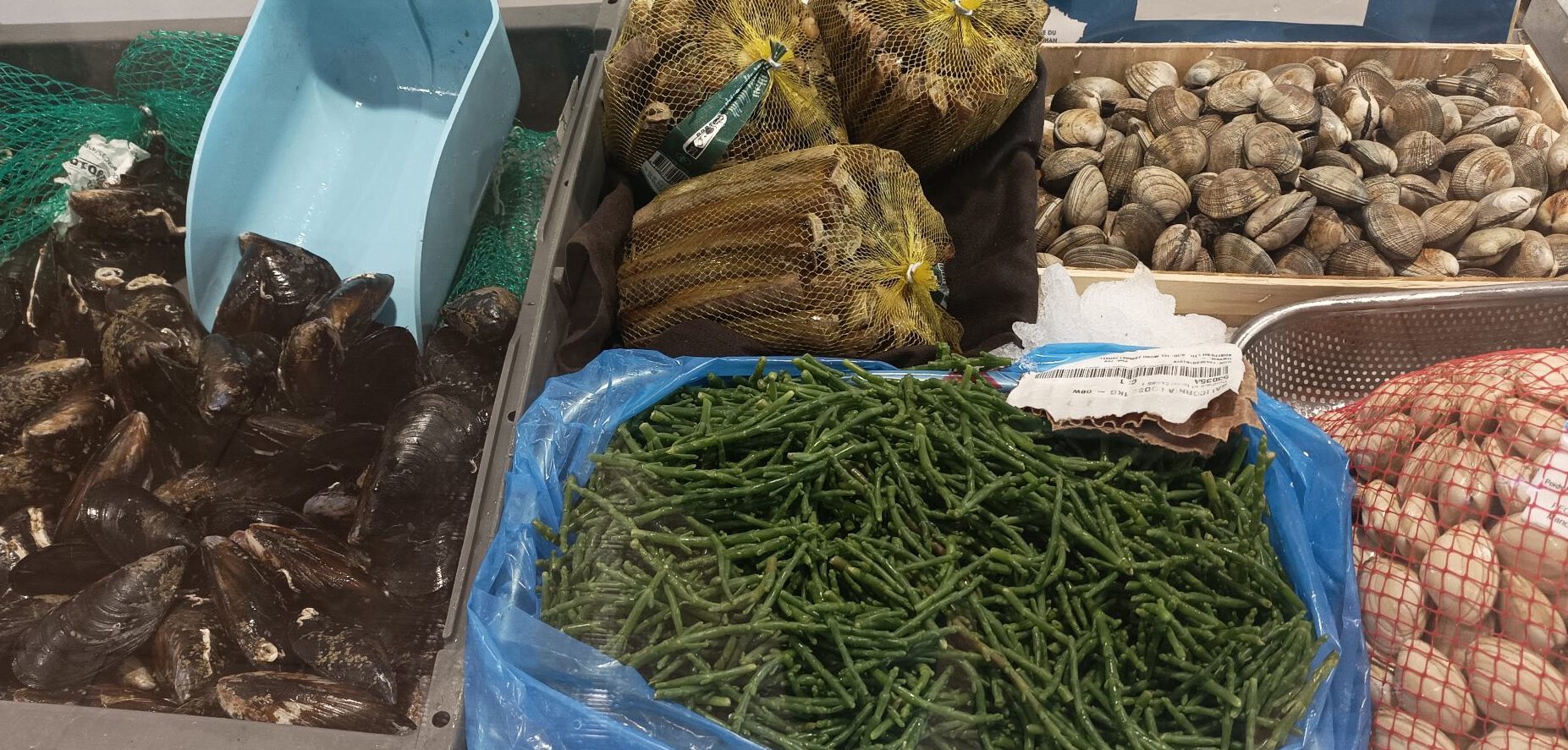 crustacés et poisson frais Villeneuve — homard, langoustines, huîtres