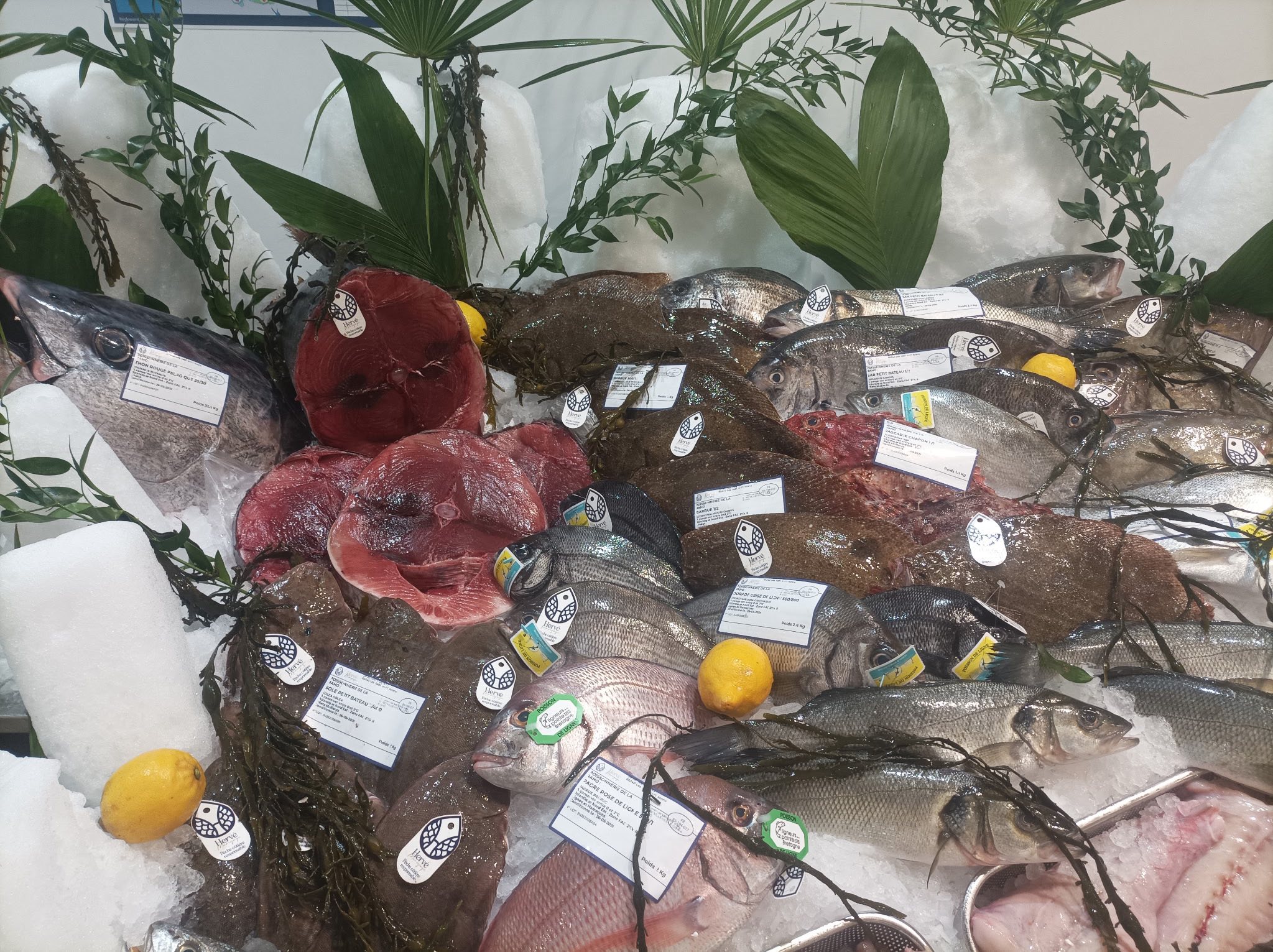 poisson frais Villeneuve-de-la-Raho — dorade, loup, rouget